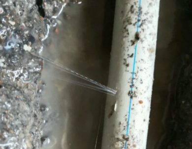 双牌测漏水哪家好