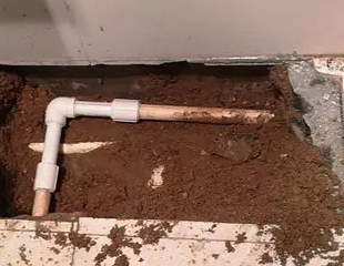 双牌测漏水哪家好