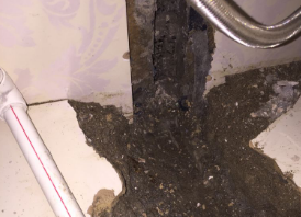 双牌卫生间测漏水哪家好