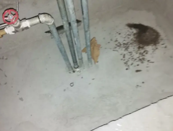 双牌卫生间测漏水价格明细