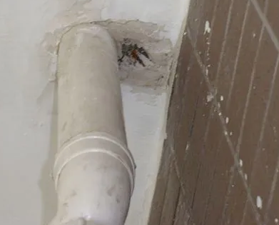 双牌漏水检测哪家好